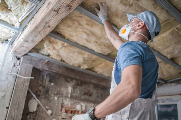 Best Specialized Insulation Services in Hickory, NC