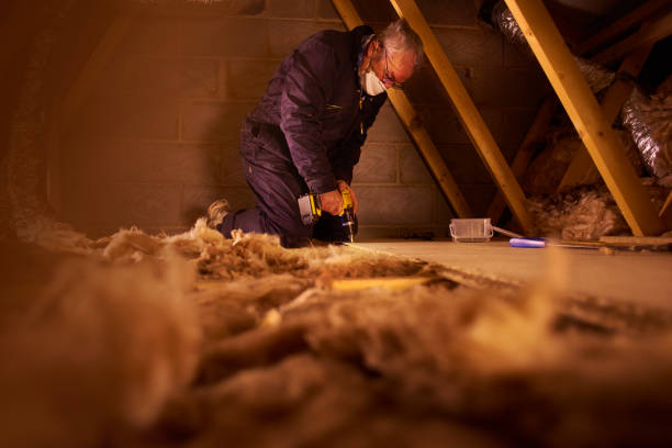 Best Cellulose Insulation in Hickory, NC