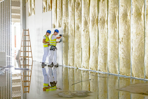 Best DIY Insulation Kits and Guidance in Hickory, NC